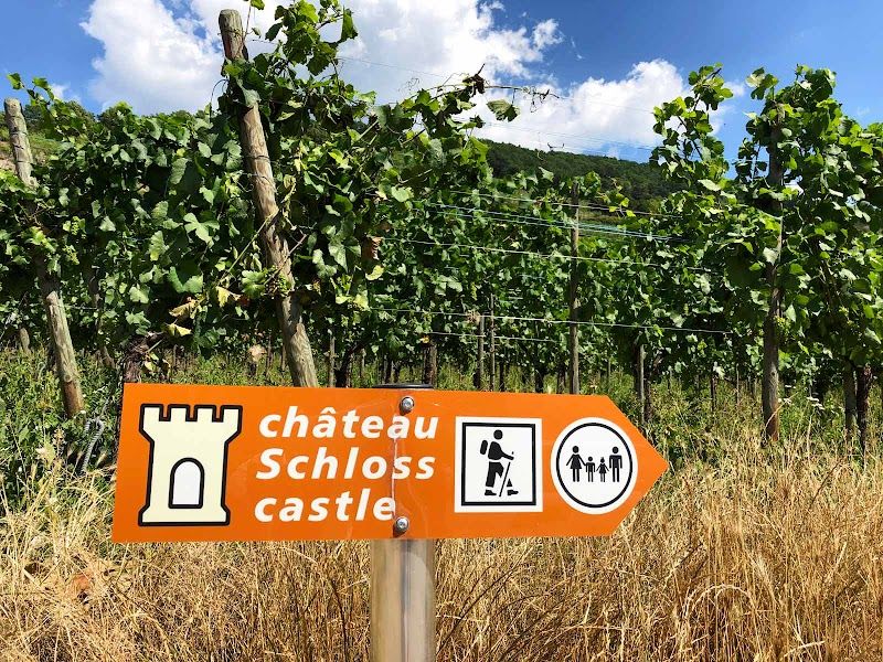 Kaysersberg Castle Ruins