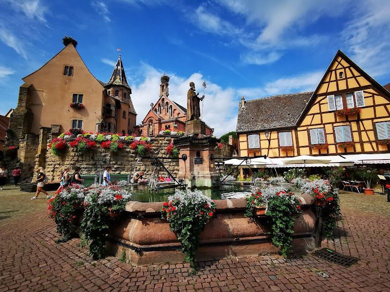 Wine Tasting on the Route des Vins