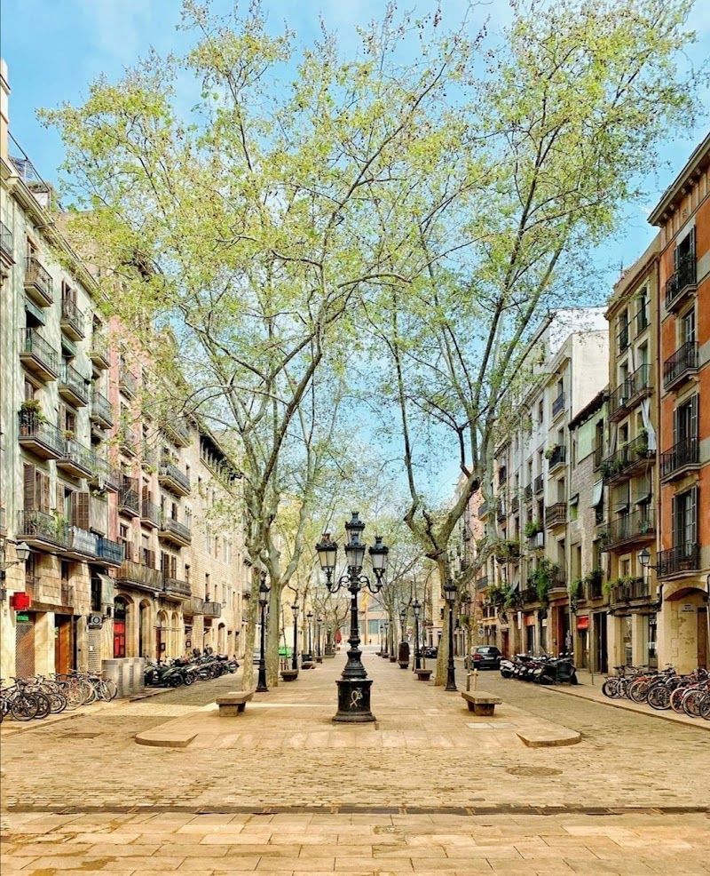 Passeig del Born