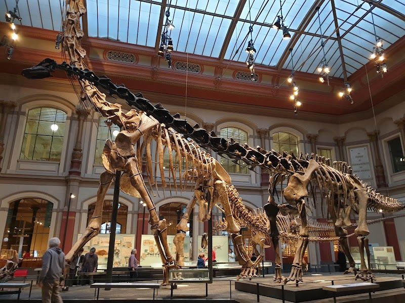 Museum fur Naturkunde (Natural History Museum)