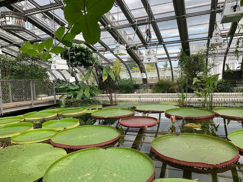 Botanischer Garten und Botanisches Museum Berlin