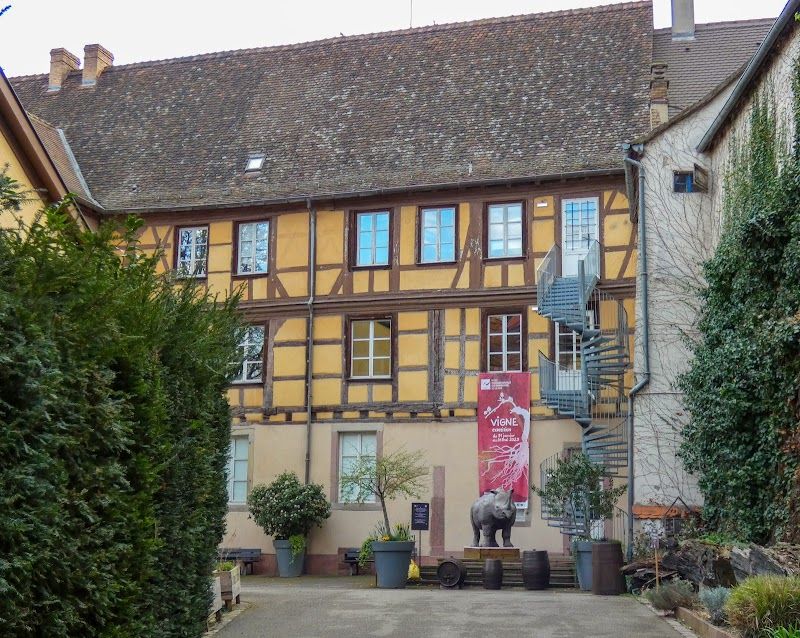 Musée d'Histoire Naturelle et d'Ethnographie