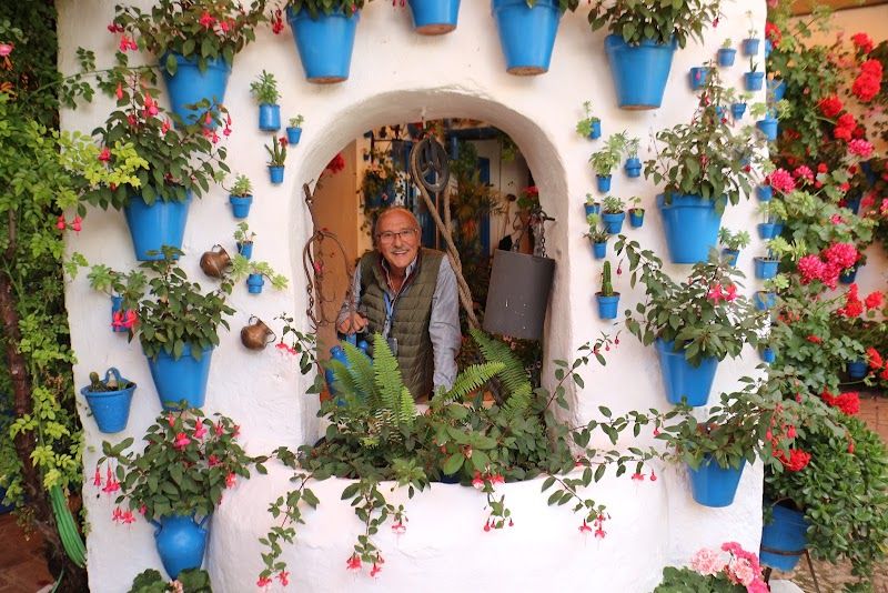 Patios de Cordoba Experience