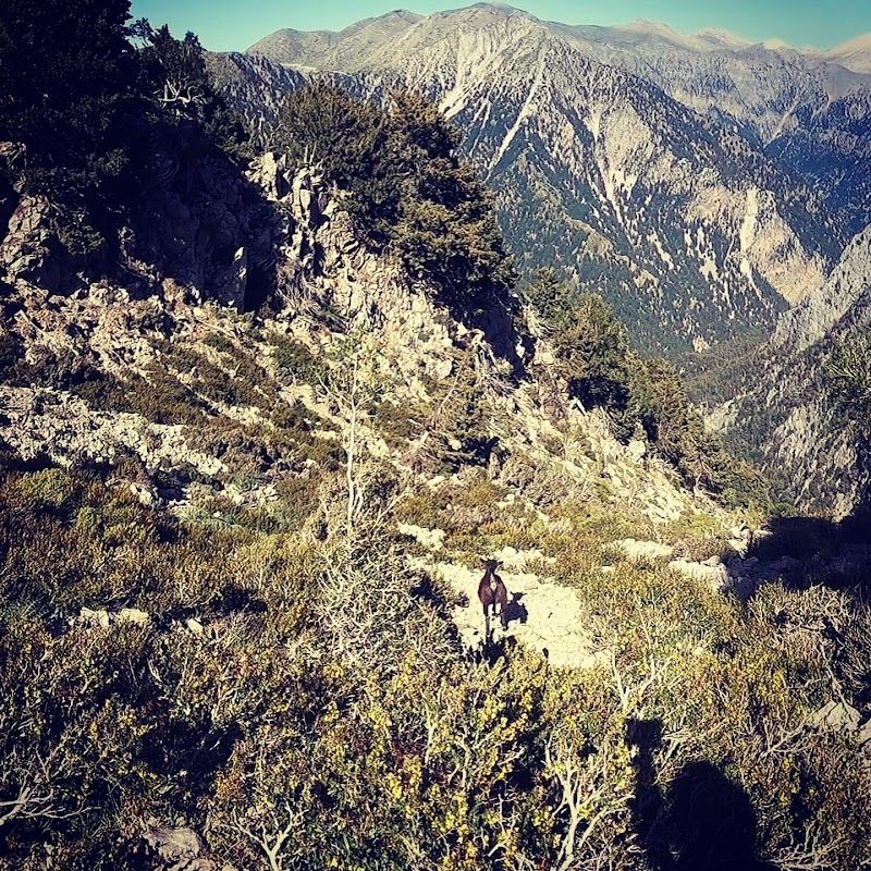Cretan Trails