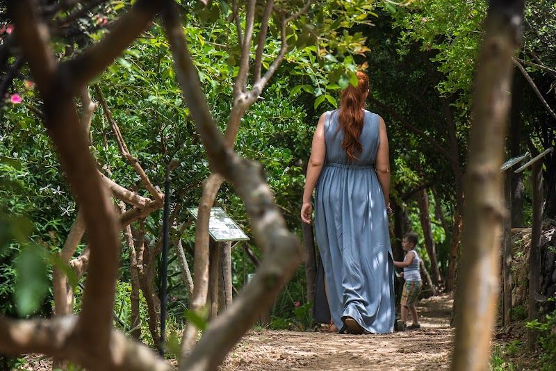 Botanical Park & Gardens Of Crete