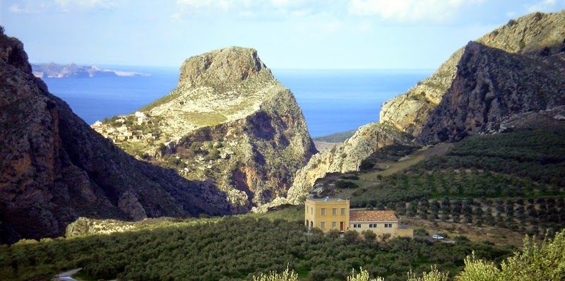 Biolea Organic Olive Oil