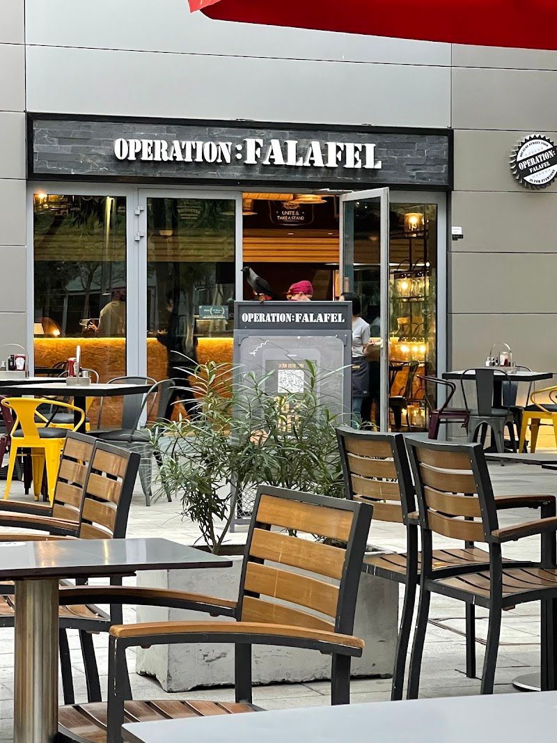 Operation Falafel