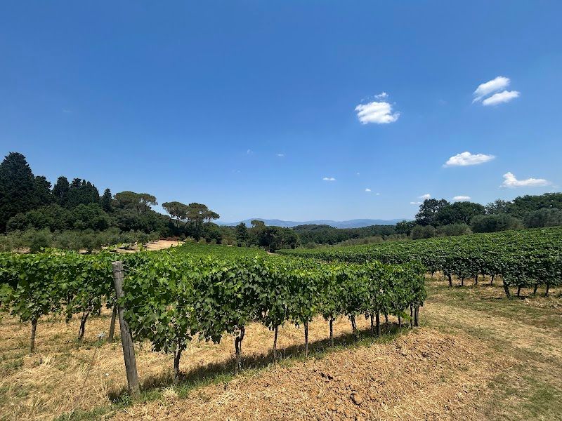 Tuscany Chianti Day Trip by Car