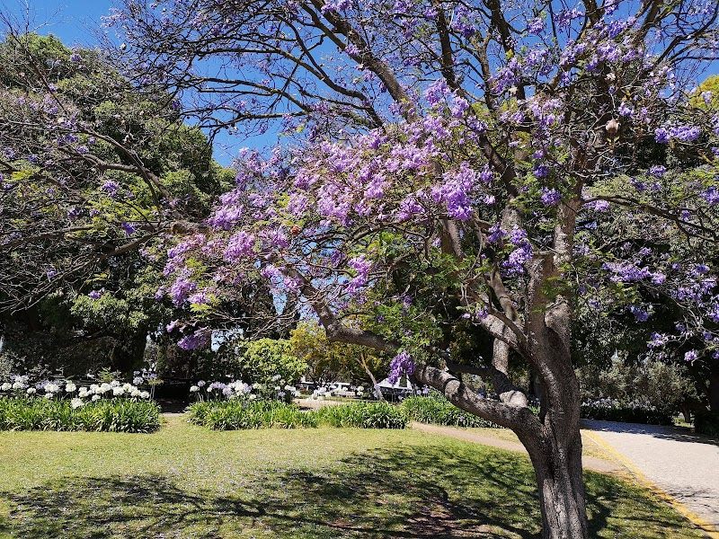 Jardim Vasco da Gama