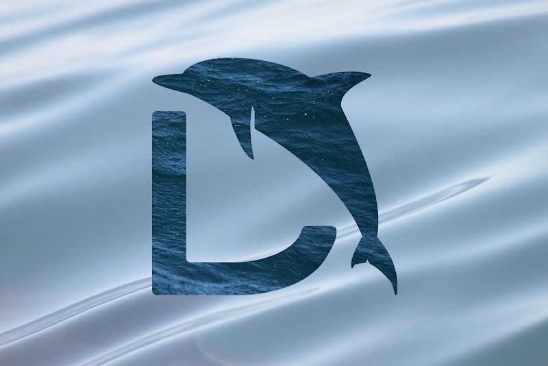 Vertice Dolphin Watching