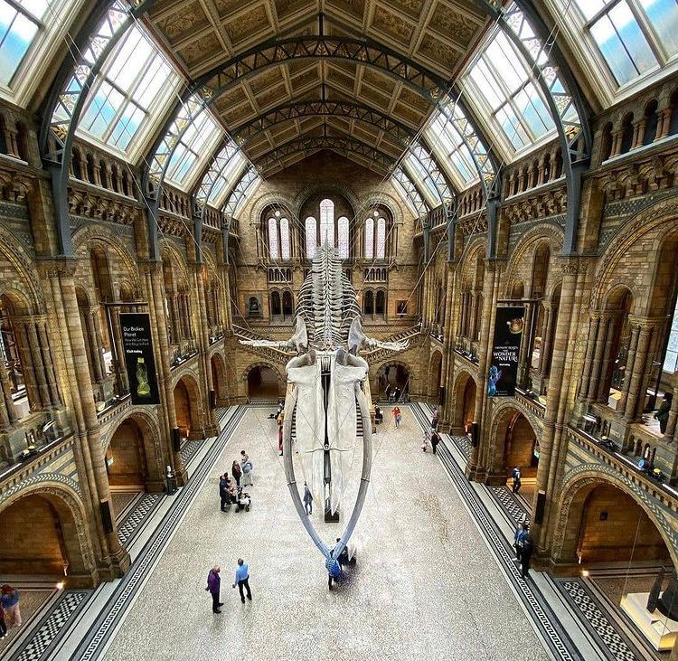 Natural History Museum