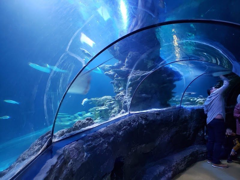 SEA LIFE London Aquarium