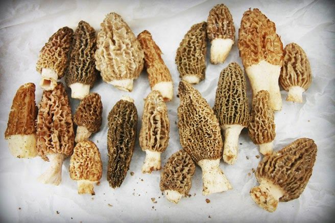 Plum Lyon Teaching Kitchen