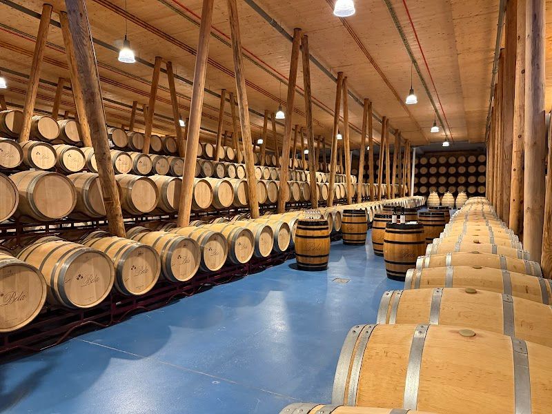 Madrid Wine Tasting La Latina