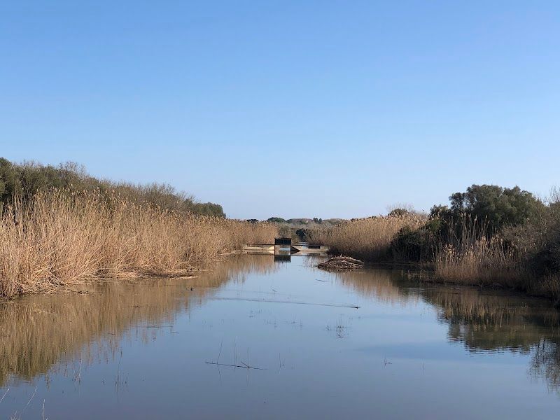 S'Albufera de Mallorca