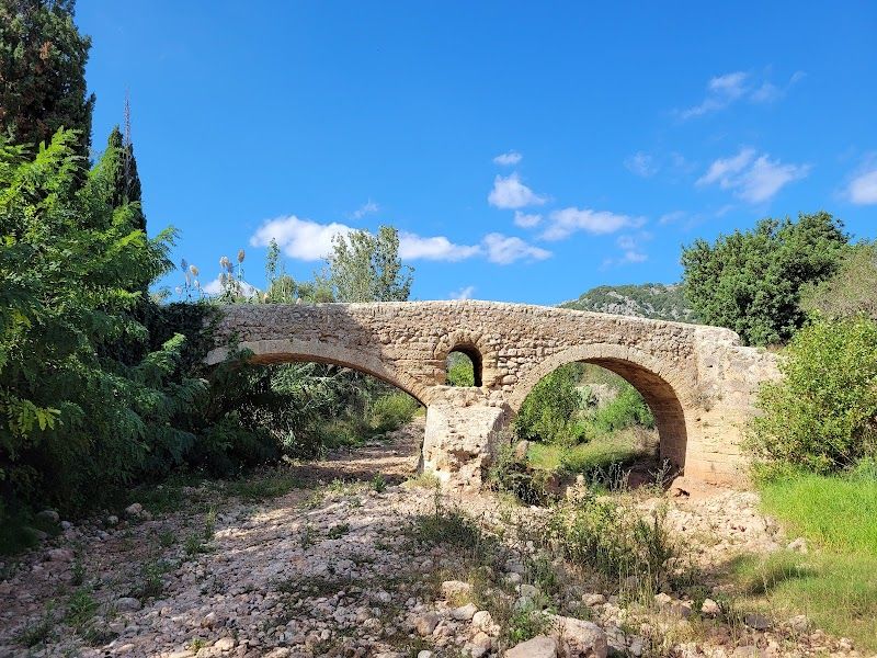 Pollenca & the North