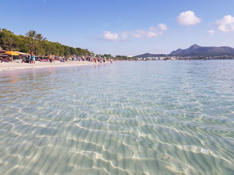 Platja d'Alcúdia