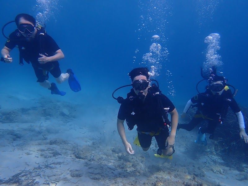Zoea Mallorca Dive Center