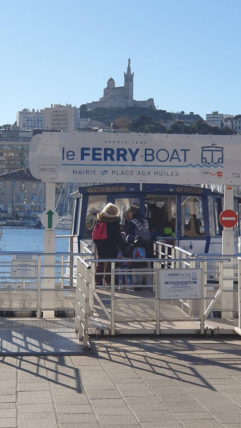 Vieux-Port Morning Fish Market