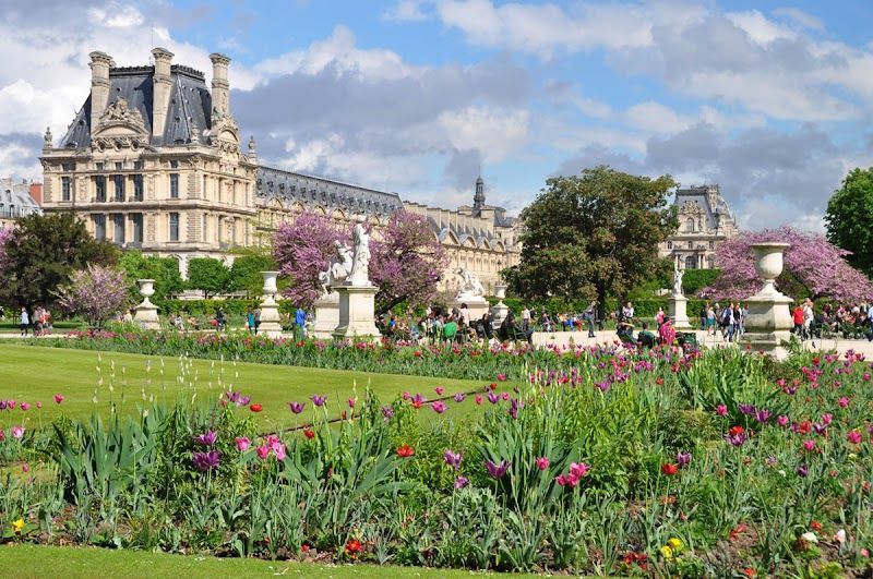 Tuileries Garden in the city