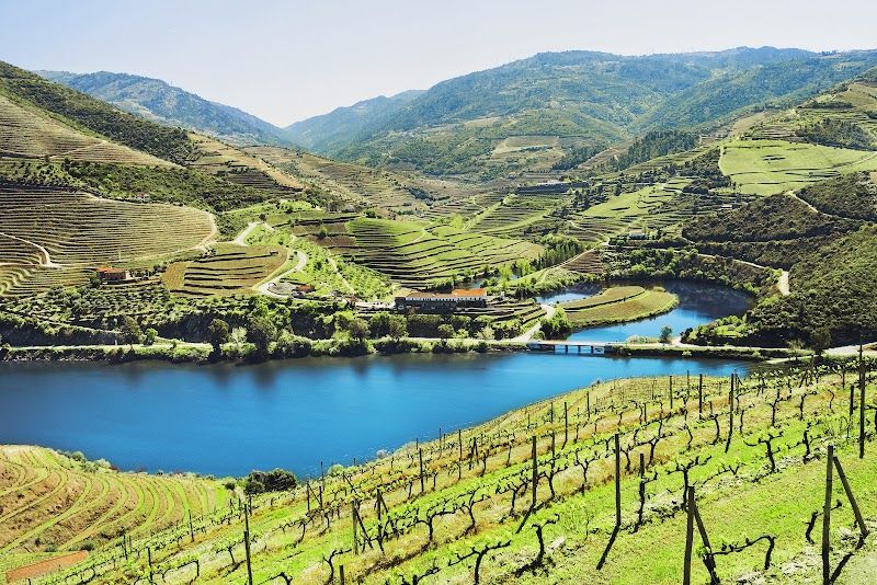 Douro Valley Wine Day Trip from Porto
