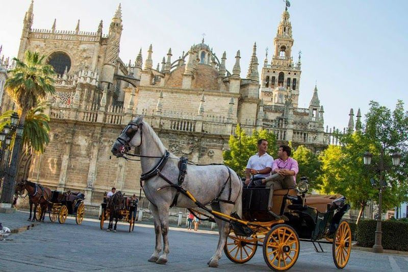 Paseos en Coche de Caballos Sevilla