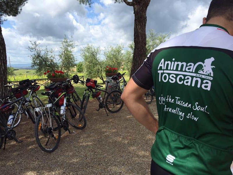 Bike Tour Siena