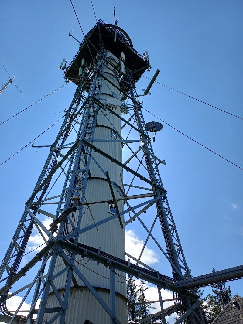 Neustadt & Surroundings