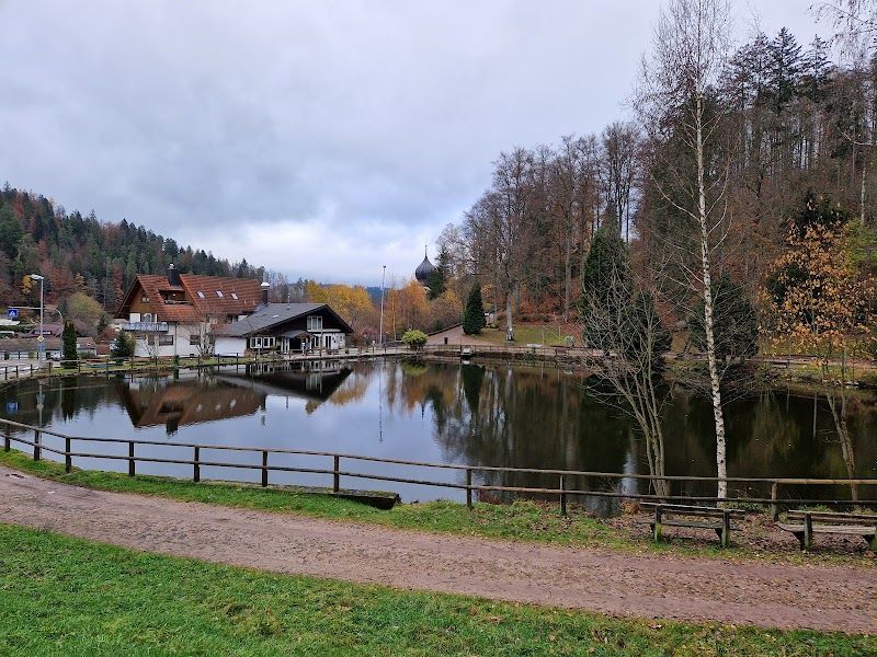 Bergsee Forellenhof