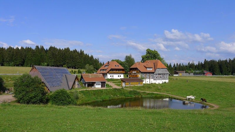 Gasthaus Hirsch Schonach