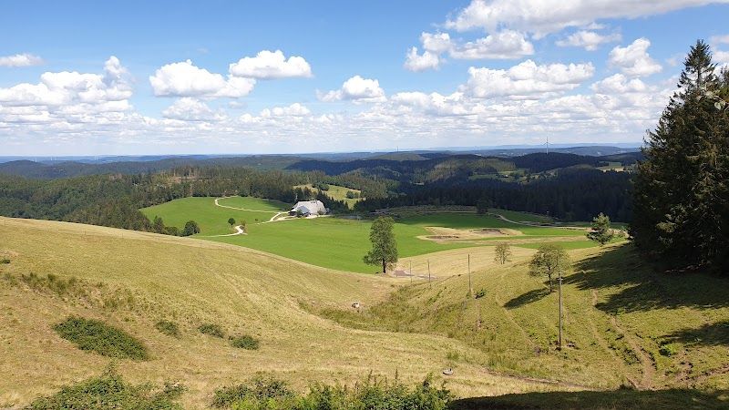 Schonach & Surroundings