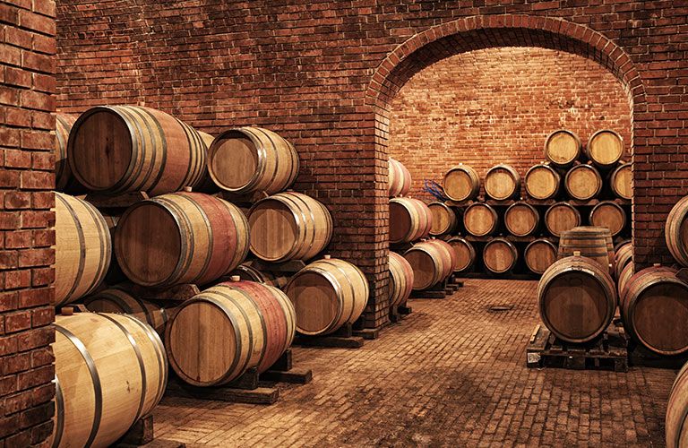 Langhe Wine Region Day Trip