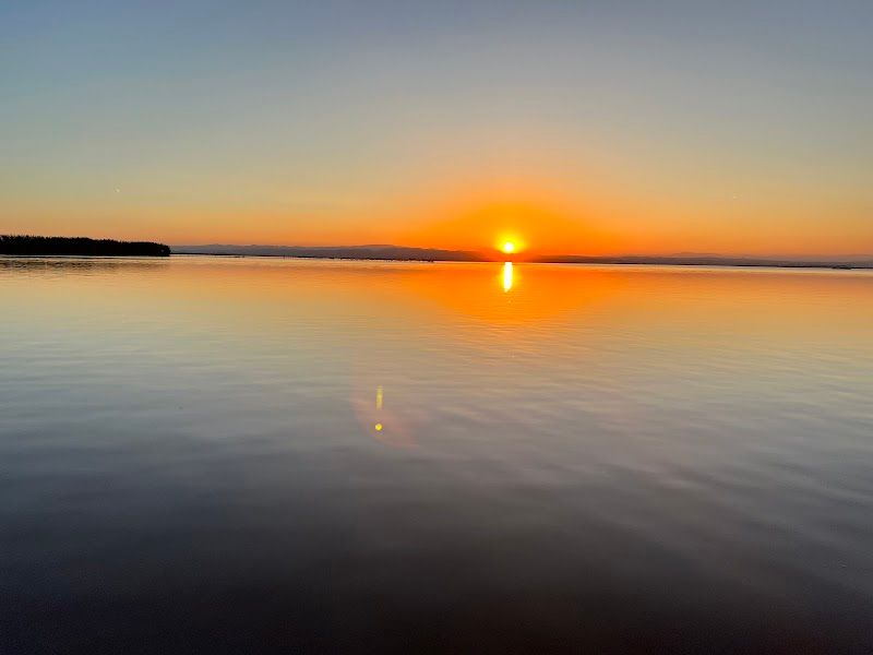 Parc Natural de l'Albufera