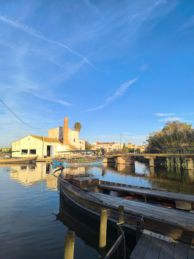 Albufera Excursions